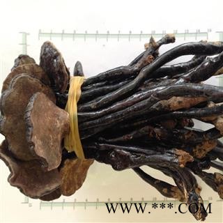 新辉药业 正品灵芝 竹灵芝  长颈灵芝图3