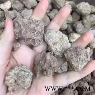 新辉药业正品野生藏灵芝 虎乳灵芝图3