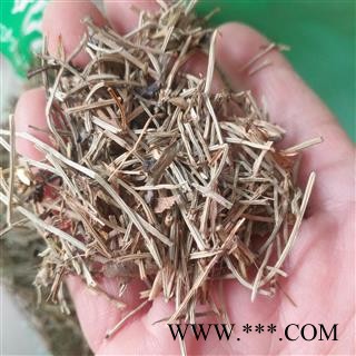 诺源药材行中药材 问荆 节节草 空心草 人工拣选图1