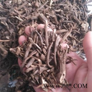 诺源药材行中药材正品野生蒲公英根另有蒲公英根茶图2