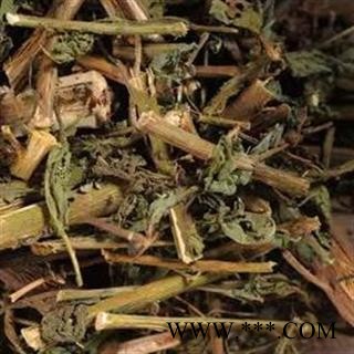 诺源中药材正品臭灵丹草 狮子草 臭叶子 六棱菊 大黑药图2