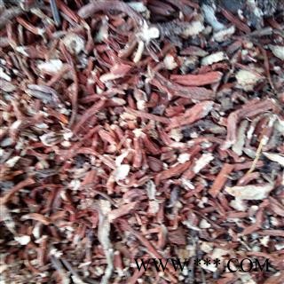 丹参 选种植丹参条 产地 河南省平顶山市汝州市图3