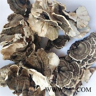 安祁名药云芝 东北云灵芝 云蘑菇图2