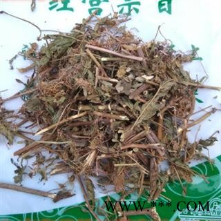 新辉药业正品含羞草 统 产地 山东    优质新货图2