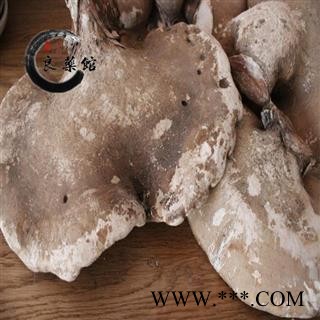 野生灵芝 野生白灵芝选货 产地吉林 药典标准 1000克直销图4