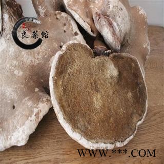 野生灵芝 野生白灵芝选货 产地吉林 药典标准 1000克直销图2