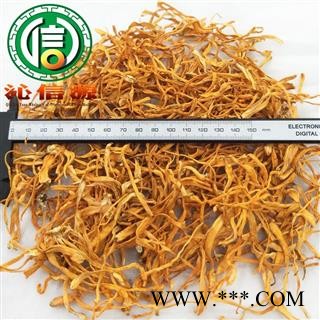 【满包邮】虫草花选货散装蛹虫草产地直供金虫草沁信源中药批发图3
