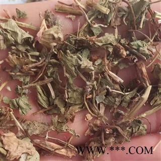 新辉药业中药材胜红蓟草 白花草 白花臭草 重阳草图3