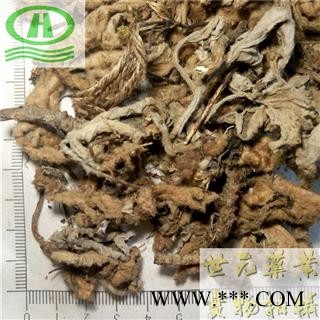 世元药业 岩白菜叶 正品地上 别称-岩壁菜 石白菜 红岩七图1