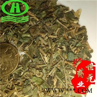 世元药业 狗肝菜 正品(伪品为九头狮子草)四籽马蓝 华九头狮子草【全品除尘中药】图2