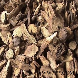 木香 统货 产地 广西壮族自治区图2