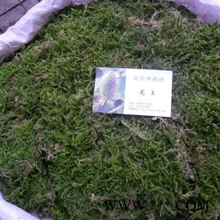 石见穿，石青苔 精品好货 产地 四川省成都市双流县 库存 2000千克可售图2