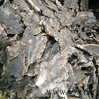 北玄参 玄参头  玄参头子 玄参头片 含量达标 产地 河南省图2