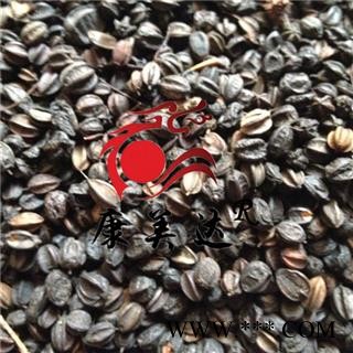 刺五加 籽  刺五加子  产地 吉林省 凯捷中药图3