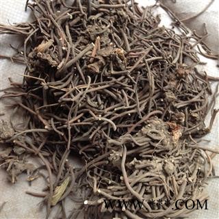 桃儿七 统 产地 四川省图2