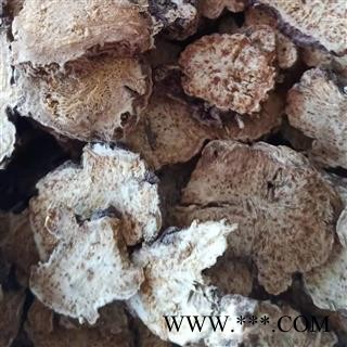 苍术 北苍术 内蒙种植苍术 产地 内蒙古自治区图2