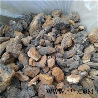 芝春堂 白桦茸 正品 桦树茸 白桦泪 桦树泪 桦树黄 桦树菇 桦褐孔菌 产地东北大兴安岭图2