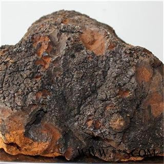 芝春堂 白桦茸 正品 桦树茸 白桦泪 桦树泪 桦树黄 桦树菇 桦褐孔菌 产地东北大兴安岭图3