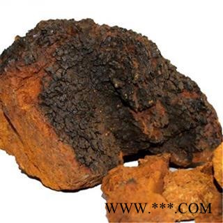 芝春堂 白桦茸 正品 桦树茸 白桦泪 桦树泪 桦树黄 桦树菇 桦褐孔菌 产地东北大兴安岭图4