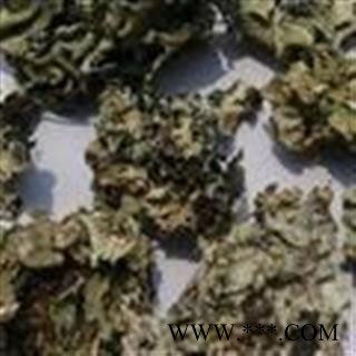 小丽百草行 石花 乳花 地衣图2