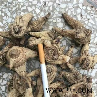 白芨 贵州白芨（大统货）三叉白芨 无硫磺 产地贵州图1