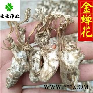 蝉花 好统货 正品 高含量 金蝉花 供应各种中药材 产地 安徽省图4