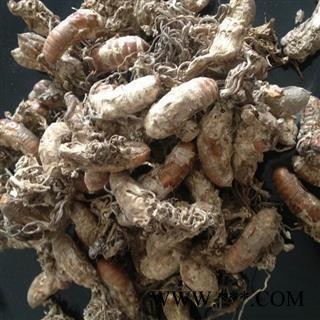 蝉花 好统货 正品 高含量 金蝉花 供应各种中药材 产地 安徽省图2