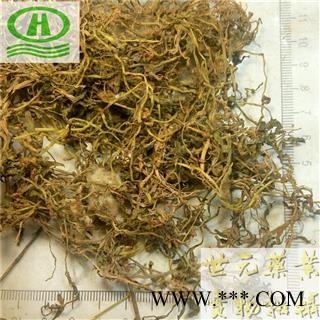 世元药业 半边莲 正品 别称 急解索 细米草 瓜仁草 半边花 水仙花草图2