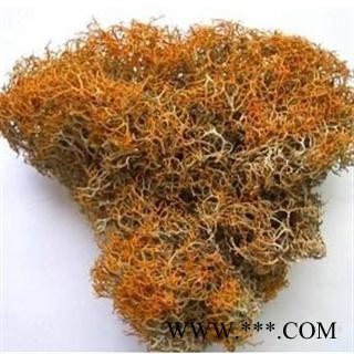 世元药业 红雪茶 金丝刷 金丝茶 金刷把 红血茶 石蕊图3