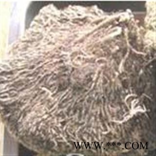 世元药业 雪灵芝 正品 野雪灵芝【全品除尘中药】图3