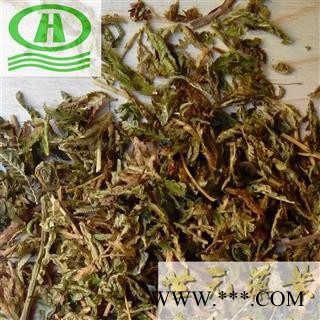 世元药业 石上柏 正品 别称-深绿卷柏 地侧柏 梭罗草 地梭罗 金龙草 龙鳞草图2