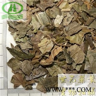 世元药业 腹水草 正品 两头爬 两头粘 两头镇 仙桥草 钓鱼竿 钓竿藤 爬岩红图2