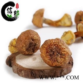 松茸野生松茸正品优质批发零售一公斤起售专注品质,诚信信邦!图3