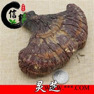 灵芝正宗长白山野生灵芝不苦专营贵细类冷被偏门专注品质，诚信信邦！图4