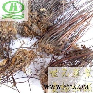世元药业 通经草 正品 挖耳草 半支莲图2