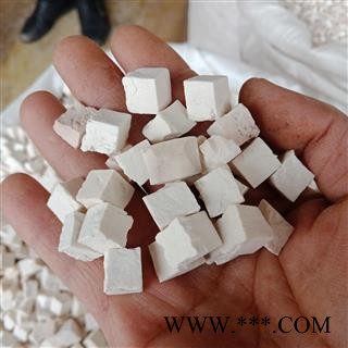 丽丽药业 净500克 茯苓精品白丁 中药材批发 保证实图拍照7天无理由退货退款图3
