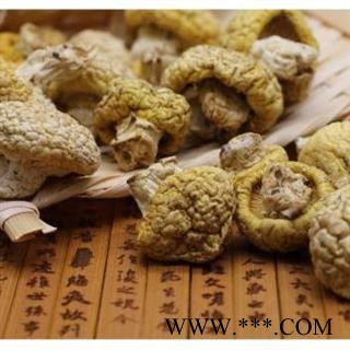 黄蘑菇 青海黄蘑菇 正品保证质量7天无理由退货退款 华安堂图2
