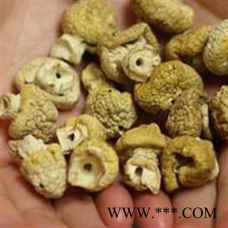 黄蘑菇 青海黄蘑菇 正品保证质量7天无理由退货退款 华安堂图3