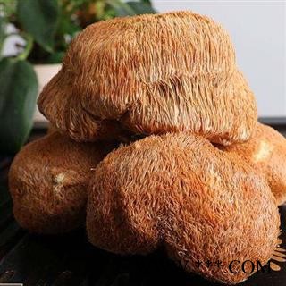 猴头菌 猴头菇正品保证质量7天无理由退货退款 中药材批发 丽丽药业图4