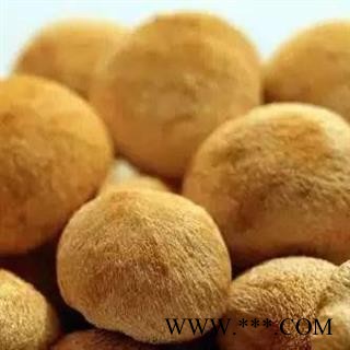 猴头菌 猴头菇正品保证质量7天无理由退货退款 中药材批发 丽丽药业图3