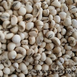 贝母 平贝母小珍珠 0.6 手捡好货  产地 吉林省图2