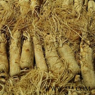 人参 无硫原皮参 生晒参32支左右 正品好货 产地 吉林省图2