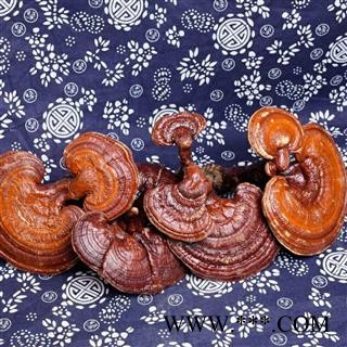 赤灵芝 净500克 实图拍照 正品保证质量7天无理由退货退款 安品堂图4