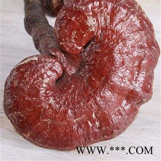 赤灵芝 净500克 实图拍照 正品保证质量7天无理由退货退款 安品堂图2