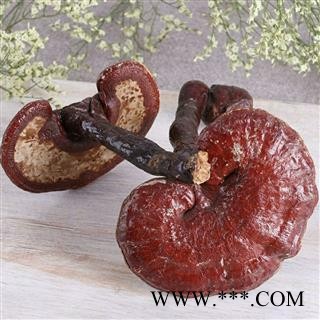 赤灵芝 净500克 实图拍照 正品保证质量7天无理由退货退款 安品堂图3