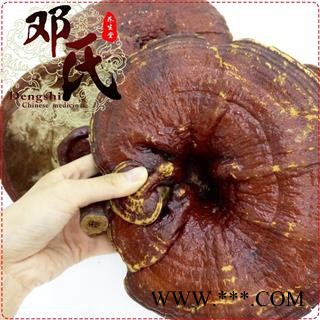 大个红灵芝无苦味选货1公斤起批散装批发产地直供邓氏中药材批发图3