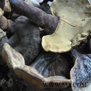 野生灵芝 精品货 产地 四川省成都市双流县图4