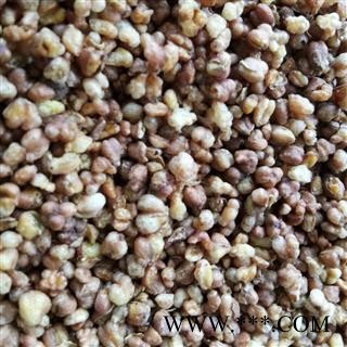 苦荞茶 黑苦荞 苦荞头 泡茶用苦荞 产地 安徽省图2