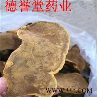 桑黄 西藏桑黄灵芝 林芝桑树桑黄 西藏野生桑黄 批发零售可代发图4