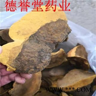 桑黄 西藏桑黄灵芝 林芝桑树桑黄 西藏野生桑黄 批发零售可代发图3